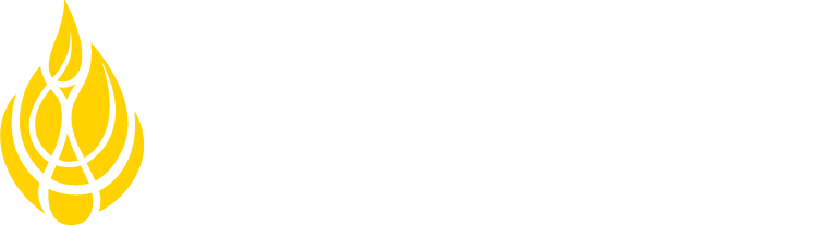 Wayland Baptist University logo link to home
